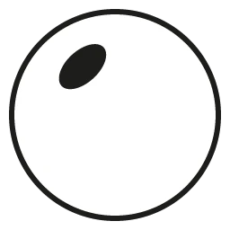 1.5 Truoptics Fashion Lens