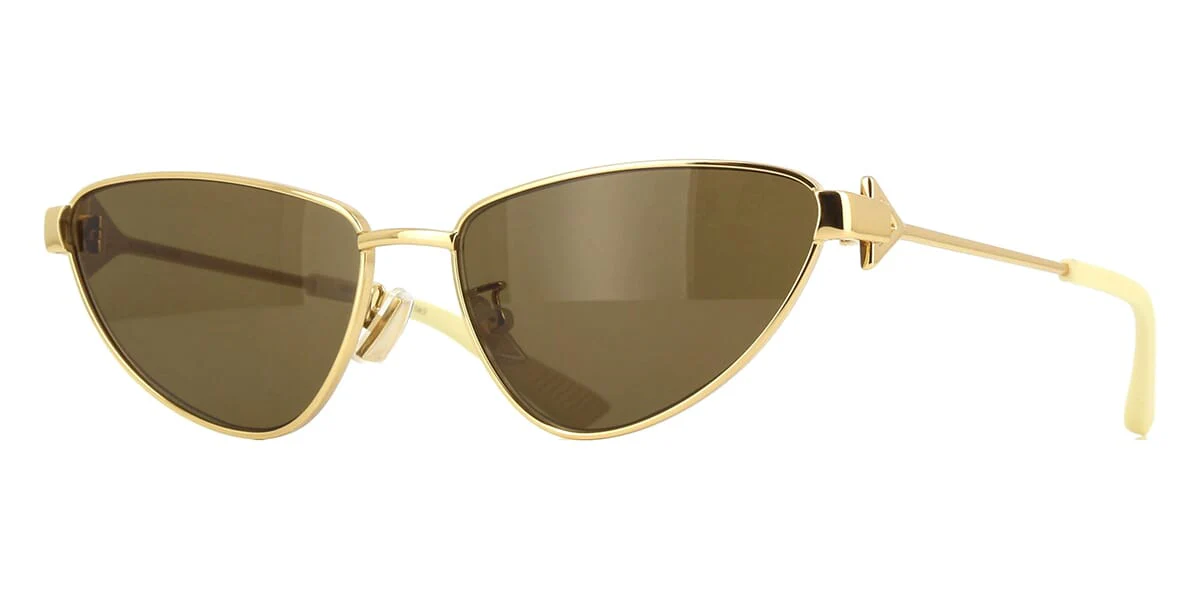 Bottega Veneta BV1186S 002 - As Seen On Alessandra Ambrosio & Zhenya Katava