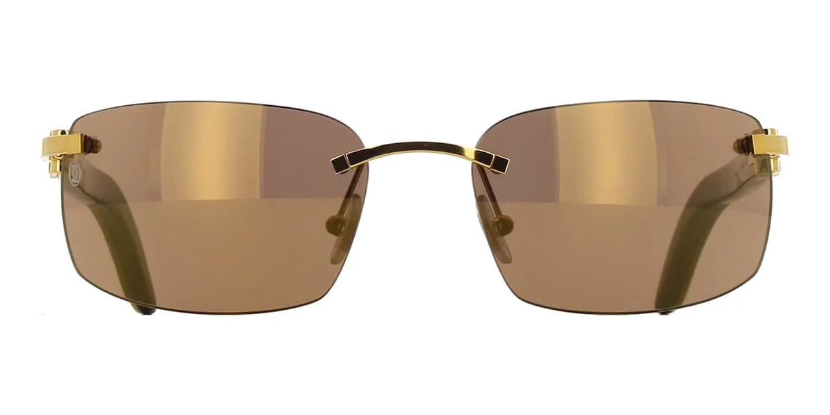 Cartier Buffalo Horn CT0046S 004 - As Seen On LiAngelo Ball - Image 2