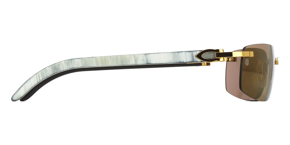 Cartier Buffalo Horn CT0046S 004 - As Seen On LiAngelo Ball - Image 3