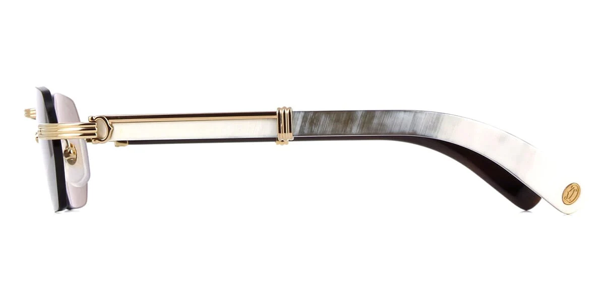 Cartier Buffalo Horn CT0362S 003 - As Seen On Timothée Chalamet & Joe Burrow - Image 3