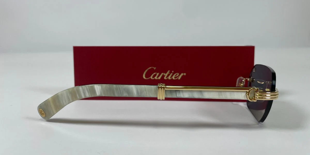Cartier Buffalo Horn CT0362S 003 - As Seen On Timothée Chalamet & Joe Burrow - Image 7
