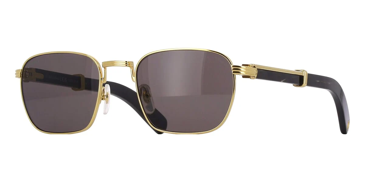 Cartier Buffalo Horn CT0363S 001