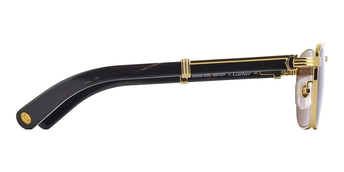 Cartier Buffalo Horn CT0363S 001 - Image 3