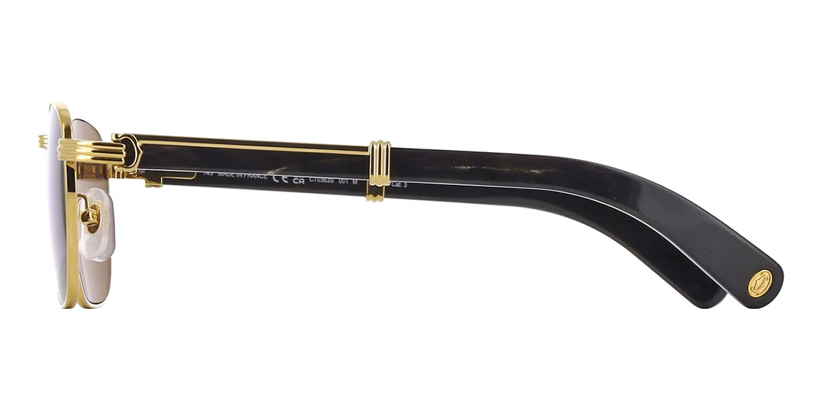 Cartier Buffalo Horn CT0363S 001 - Image 4