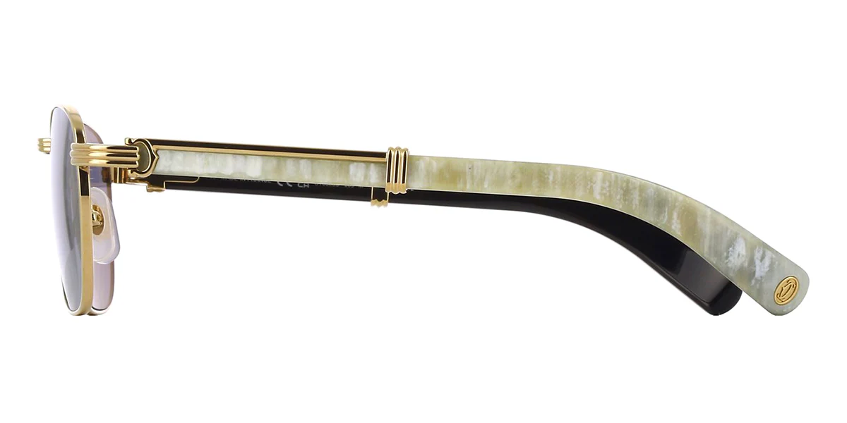 Cartier Buffalo Horn CT0363S 003 - Image 4