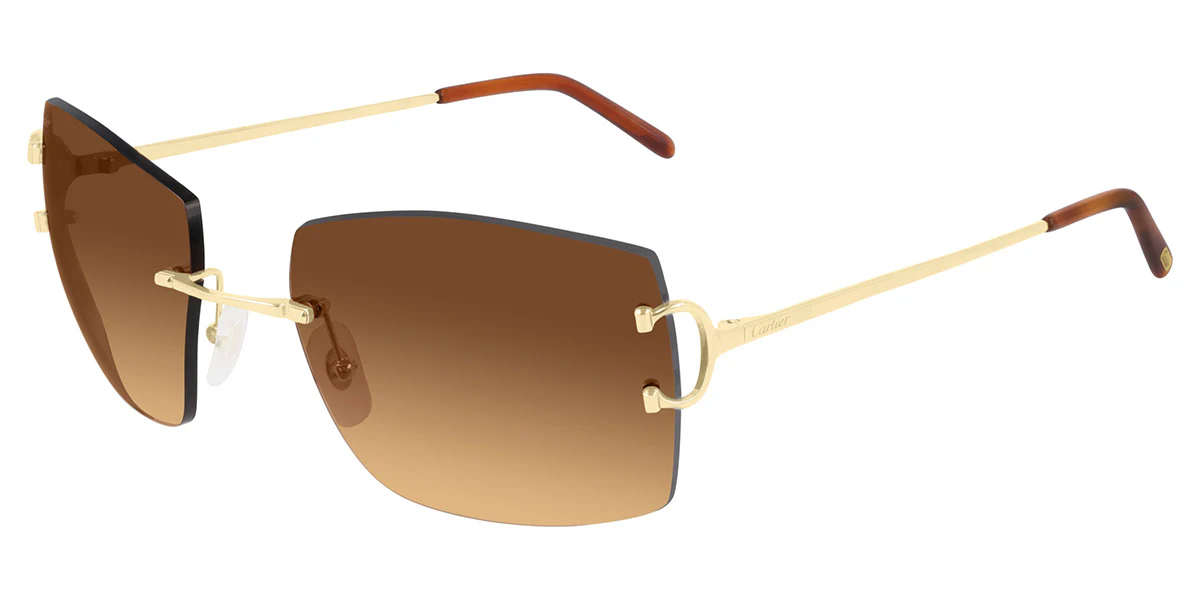 Cartier CT0009RS 001