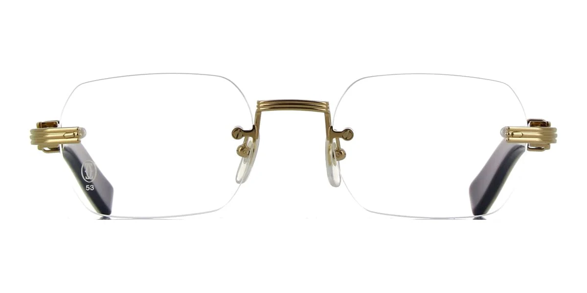 Cartier Buffalo Horn CT0377O 003 6H9 - Image 2