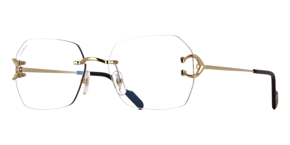 Cartier CT0416S 001 Blue & Beyond