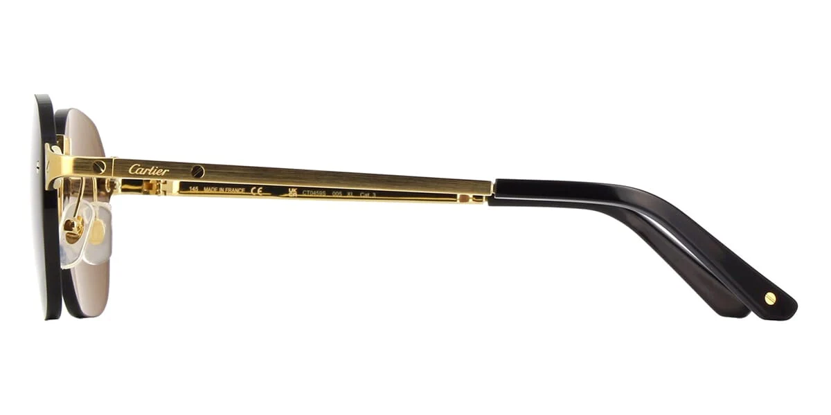 Cartier CT0459S 001 / 005 - Image 3