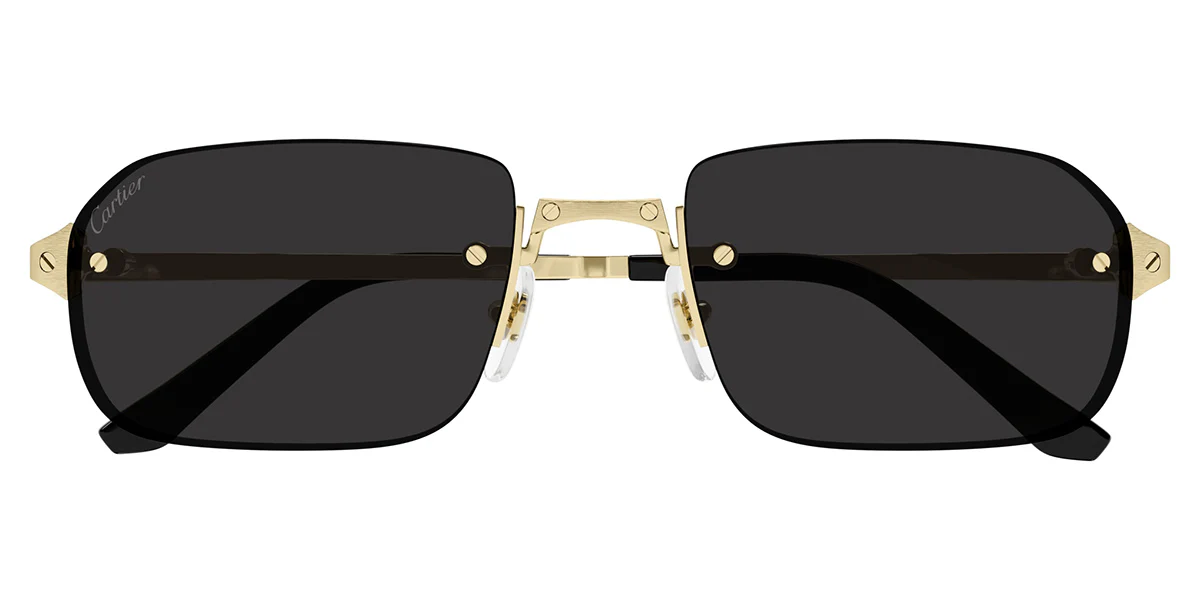 Cartier CT0460S 001 - Image 2