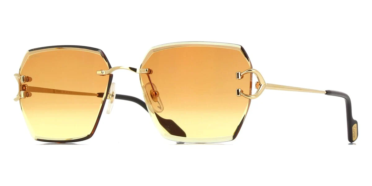 Cartier CT0466S 004