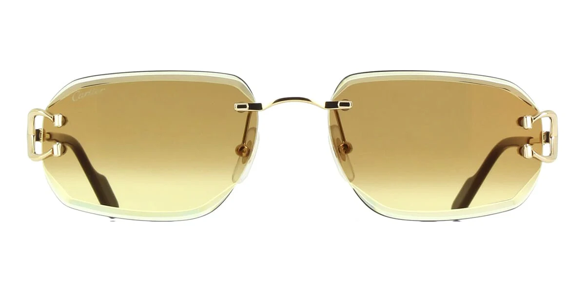 Cartier CT0468S 004 - As Seen On Beyonce - Image 2