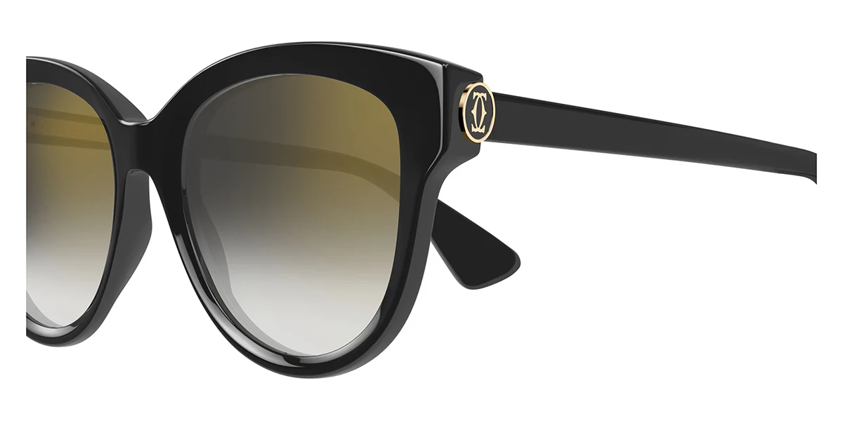 Cartier CT0506SA 001 - Image 3