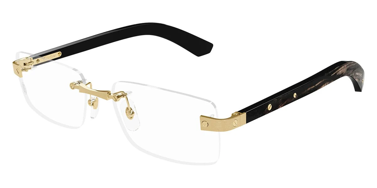 Cartier CT0513O 001