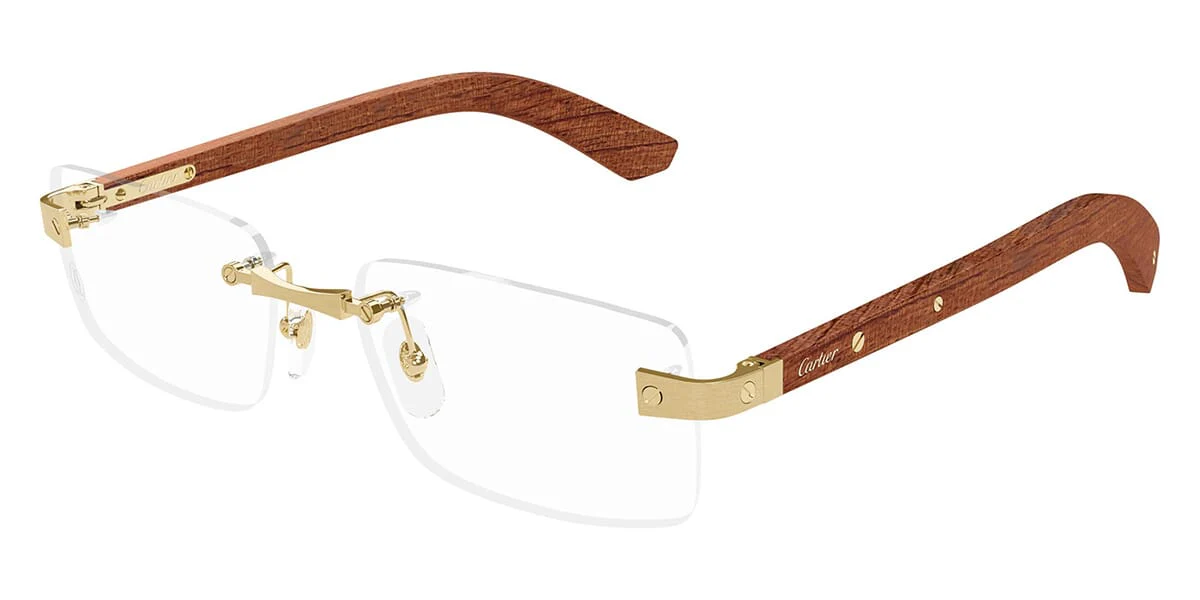 Cartier CT0513O 002