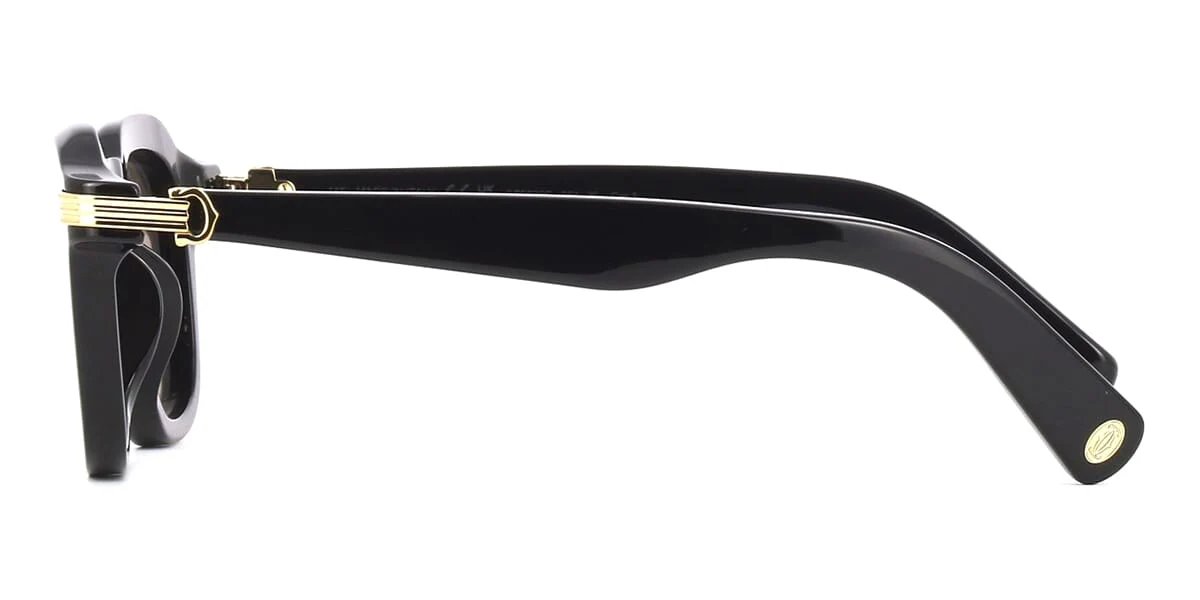 Cartier CT0536S 001 - Image 3