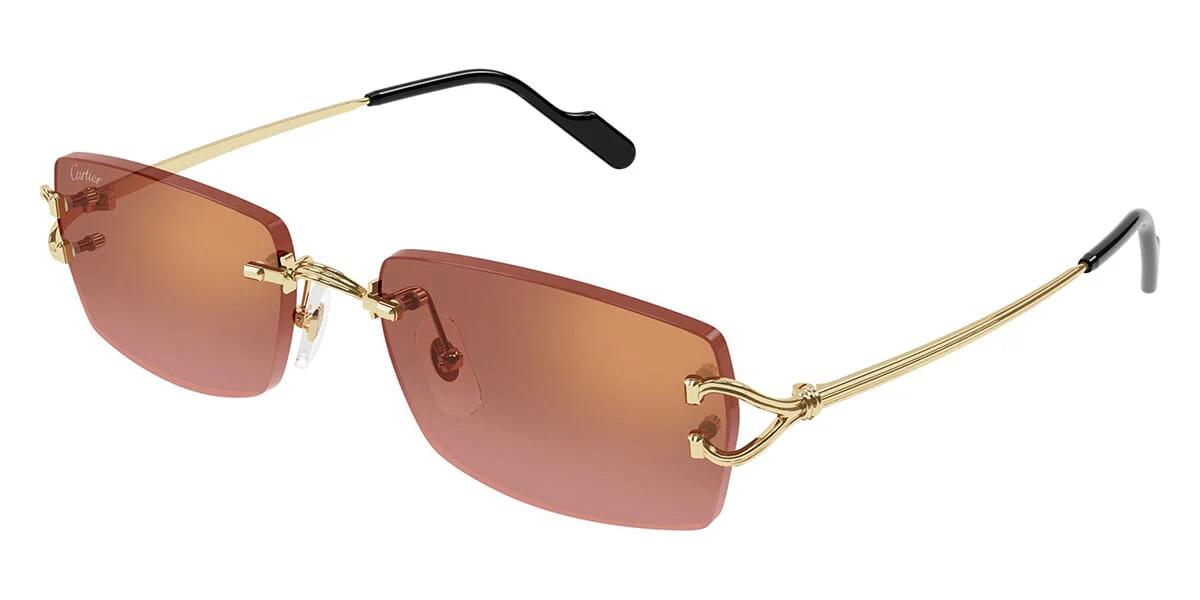Cartier CT0550S 005