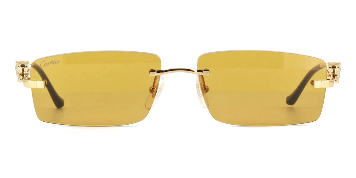Cartier Panthere CT0430S 003 - As Seen On Normani & Yuvraj Singh - Image 2