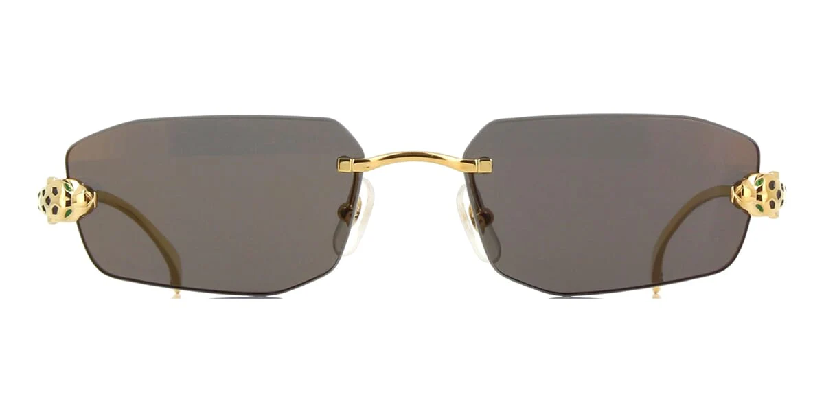 Cartier Panthere CT0474S 001 - As Seen On Suryakumar Yadav & Tijjani Reijnders - Image 2