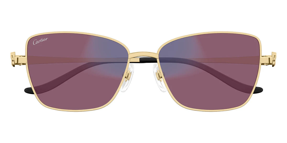 Cartier Panthere CT0523S 001 Blue and Beyond - Image 6