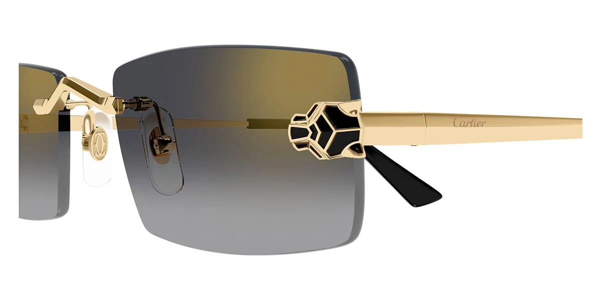 Cartier Panthere CT0598S 001 - Image 3