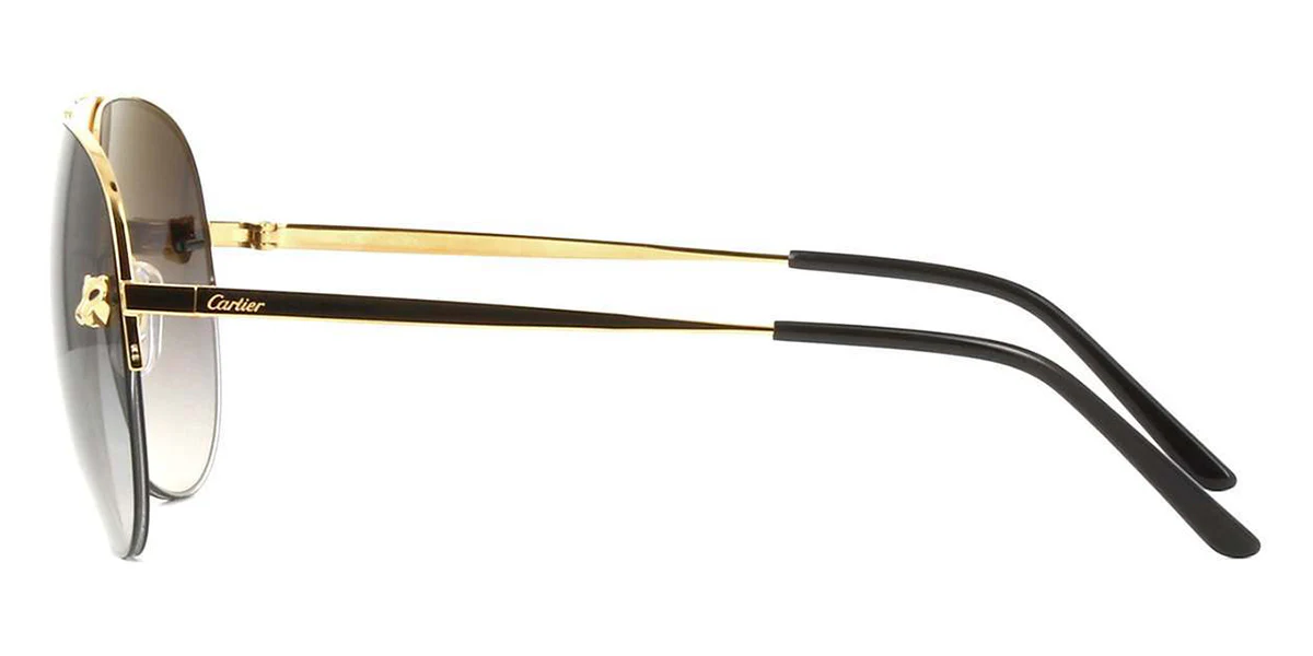 Cartier Panthere Pilot CT0065S 001 - Image 3