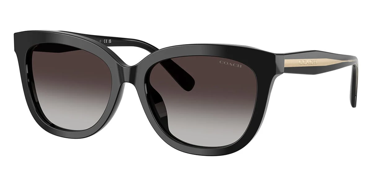 Coach Cdp53 HC8453U 5002/8G