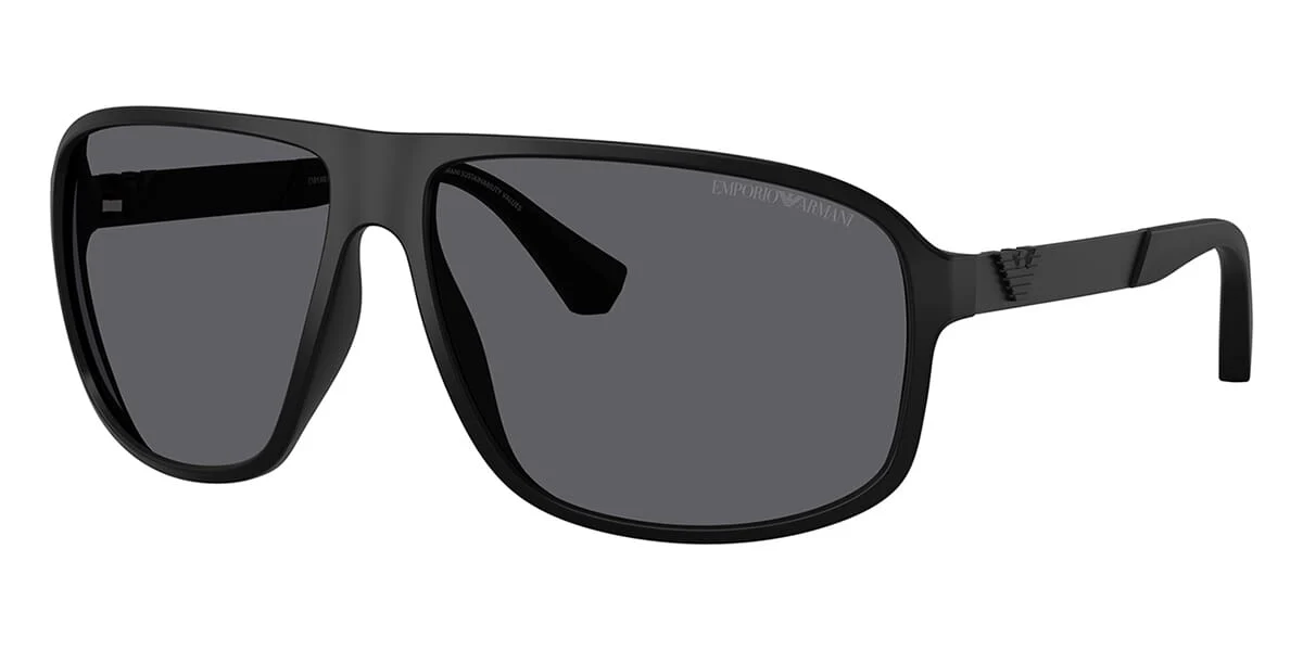 Emporio Armani EA4029 5001/T3 Polarised