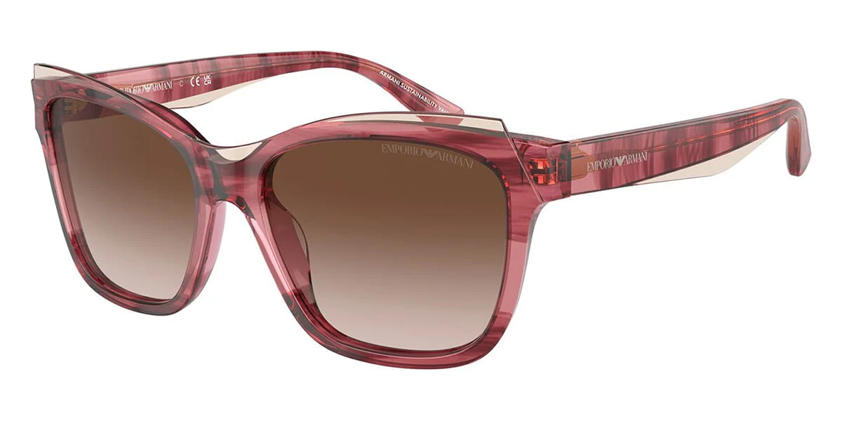 Emporio Armani EA4209 6057/13