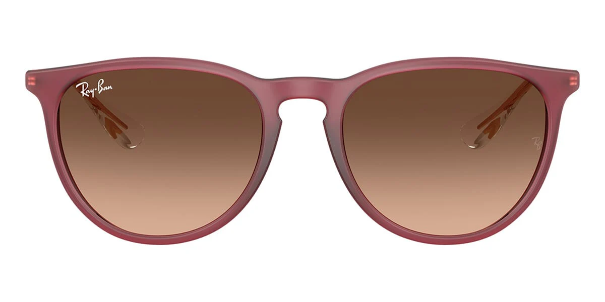 Ray-Ban Erika RB 4171 6815/A5 - Image 2