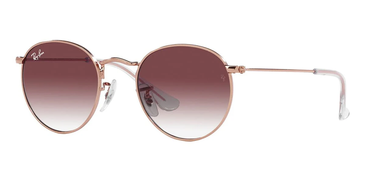 Ray-Ban Kids Round RJ 9547S 291/8H Childs Frame
