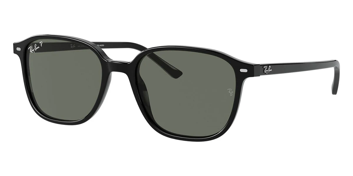 Ray-Ban Leonard RB 2193 901/58 Polarised - As Seen On Anthony Ramos & Leonardo DiCaprio