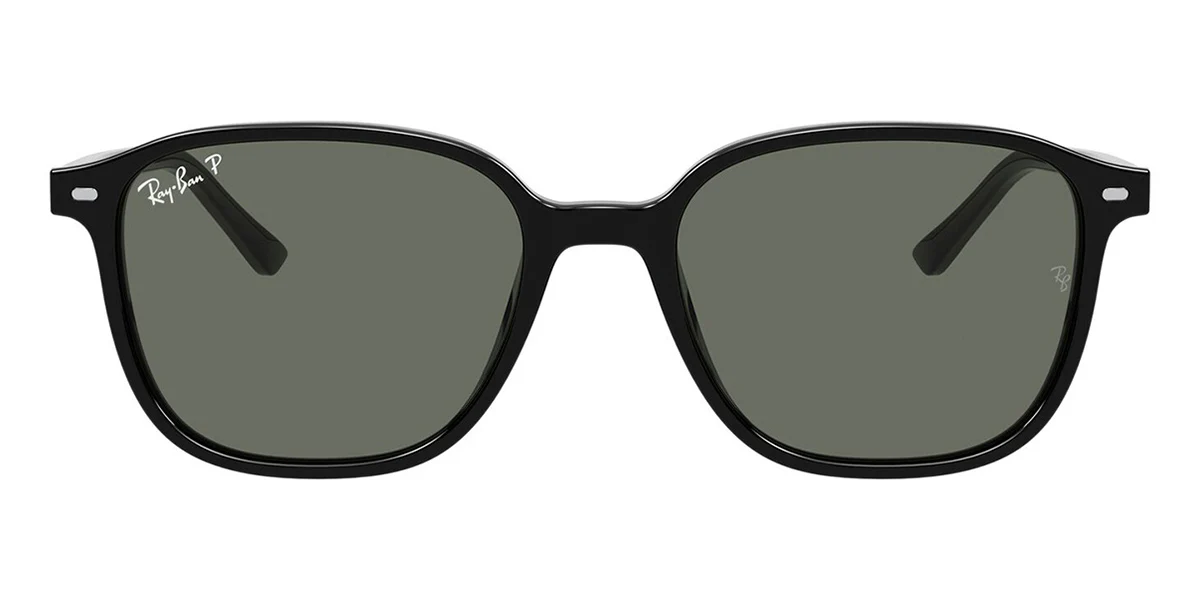Ray-Ban Leonard RB 2193 901/58 Polarised - As Seen On Anthony Ramos & Leonardo DiCaprio - Image 2