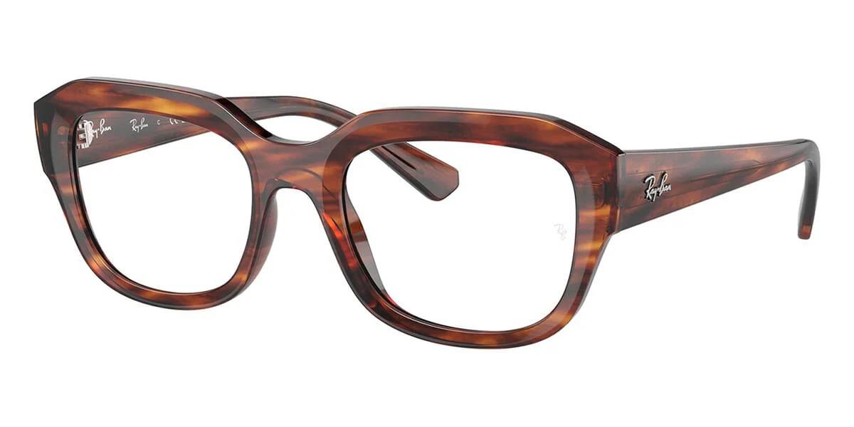 Ray-Ban Leonid RB 7225 8315