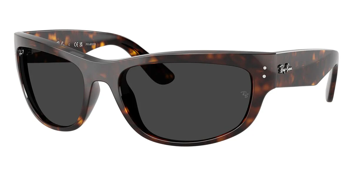 Ray-Ban Mega Balorama RB 2289 902/48 Polarised