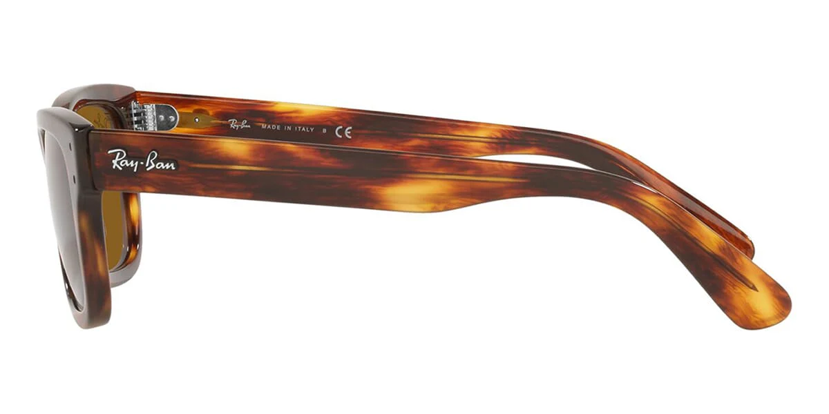 Ray-Ban Mr Burbank RB 2283 954/33 - Image 3