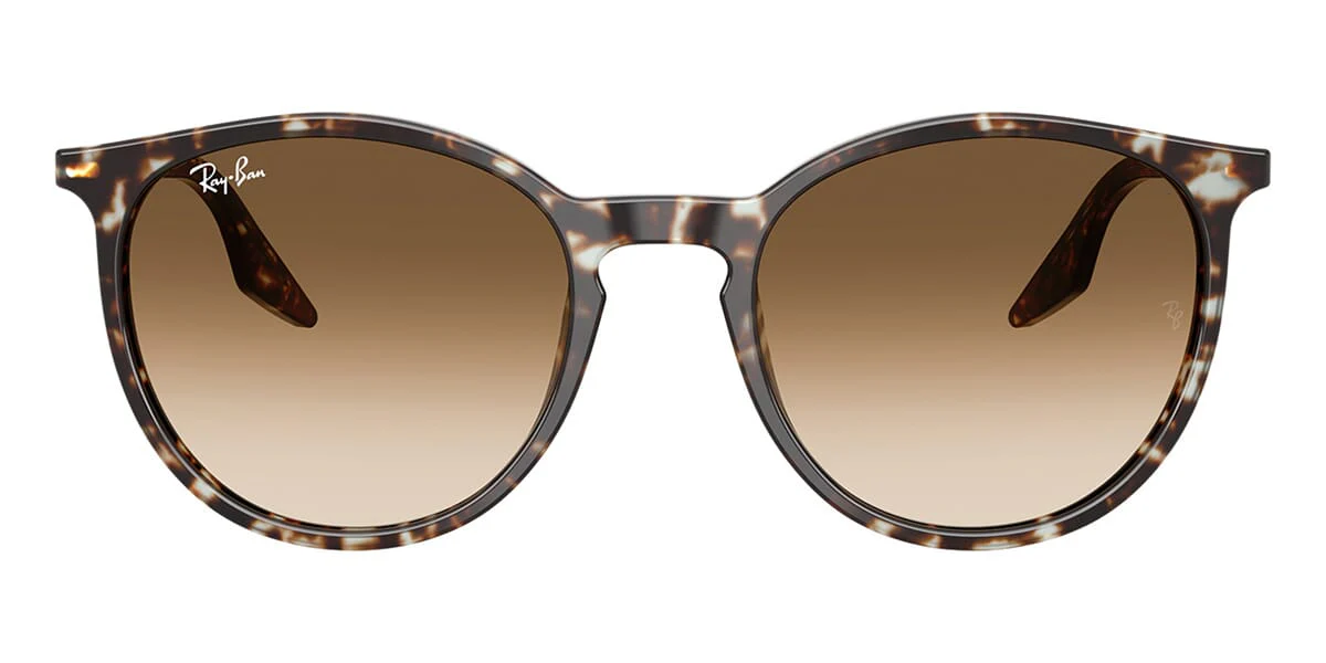 Ray-Ban RB 2204 1431/51 - Image 2