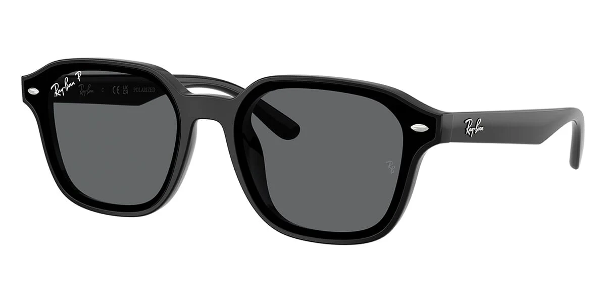 Ray-Ban RB 4458D 601/81 Polarised