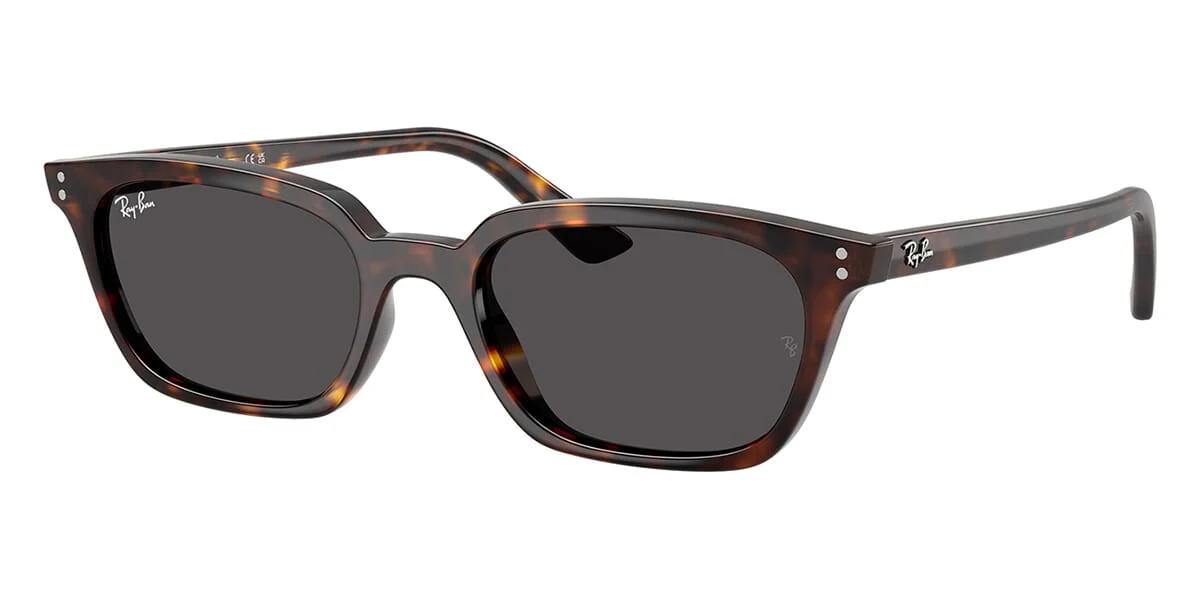 Ray-Ban Zaya RB 4456 1359/87 - As Seen On Aron Piper