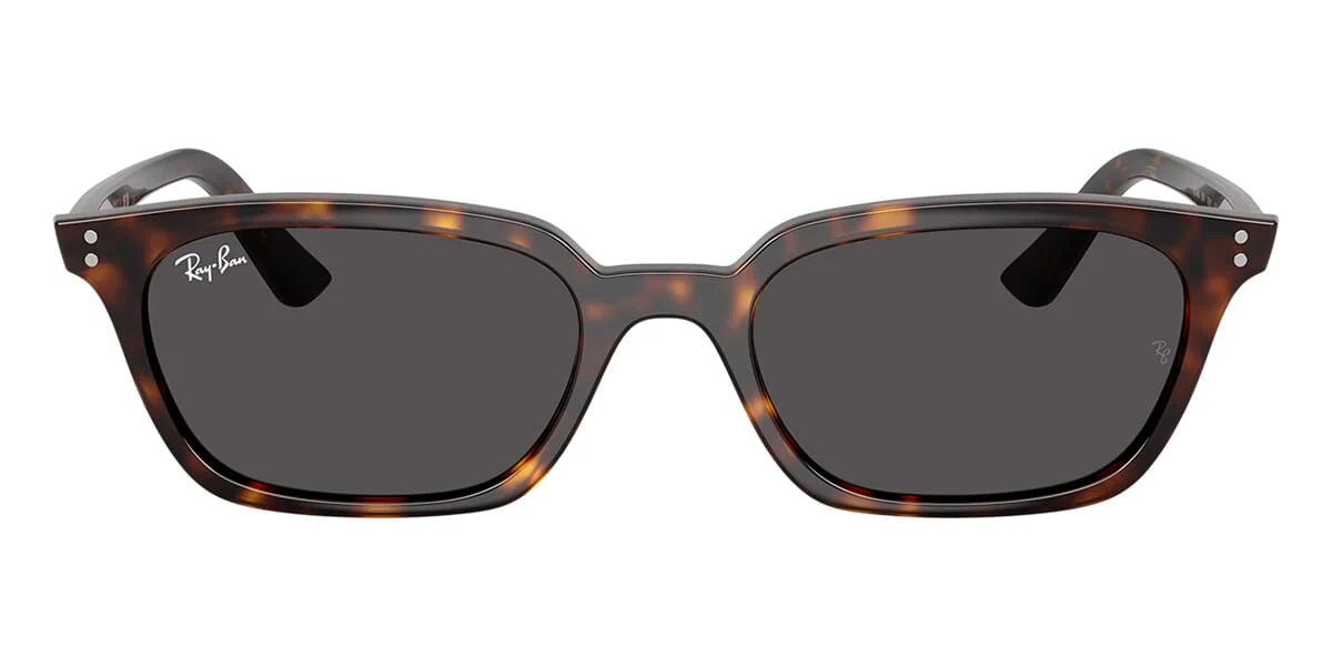 Ray-Ban Zaya RB 4456 1359/87 - As Seen On Aron Piper - Image 2