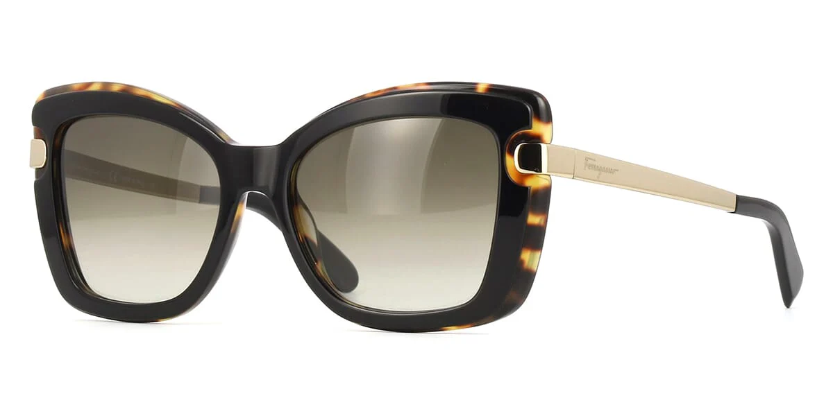 Salvatore Ferragamo SF814S 006