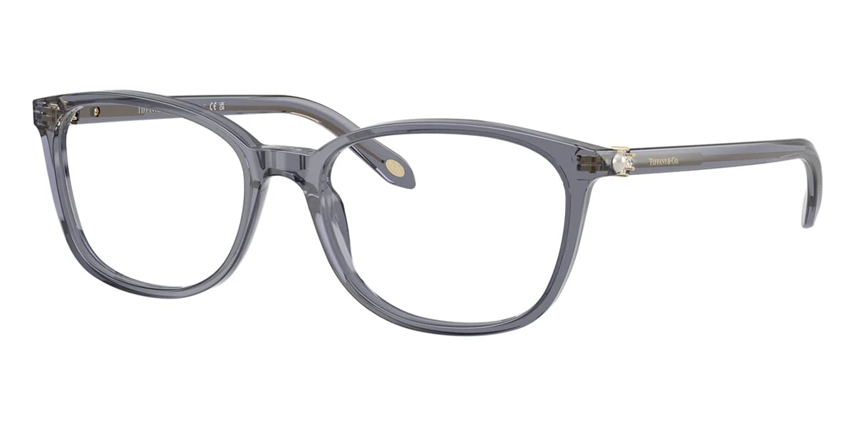 Tiffany & Co TF2109HB 8405